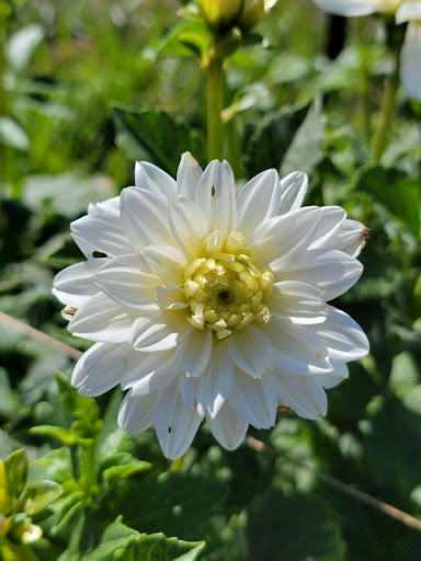 Fieldsview Farm - Visual