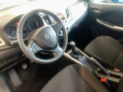 Auto Steiner - Visual
