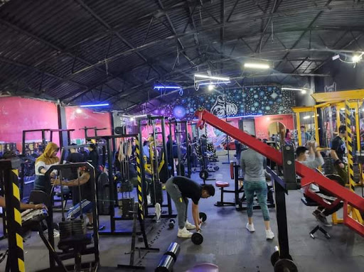 OSO'S GYM TEJOCOTE