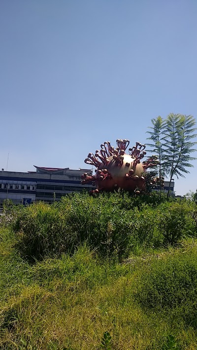 Photos of Institute of Biomedical Research