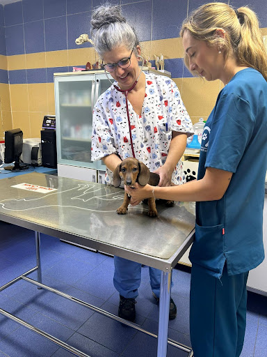 Clínica Veterinaria las Viñas