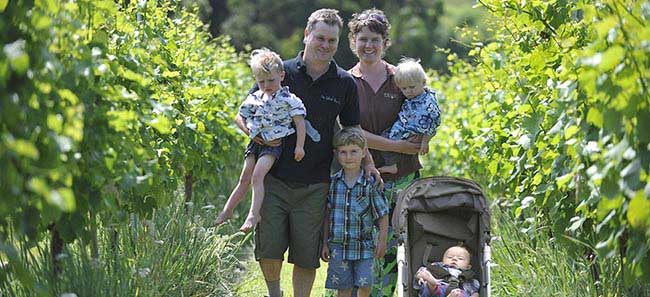 Wrights Vineyard and Winery — photo 9