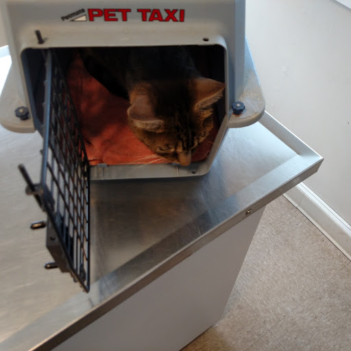Country Care Veterinary Center, PLLC Gallery - United States