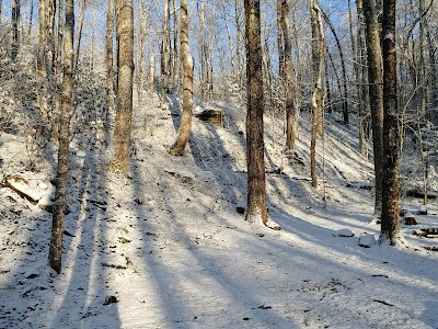 Backcountry Campsite #35