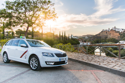 Taxi Arcos N20 | El Santiscal Logo