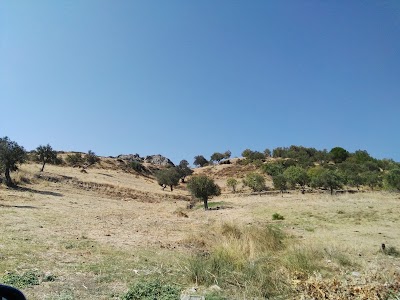 Photos of Hotel Erol