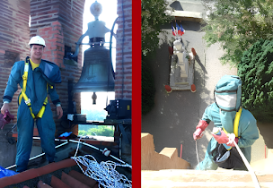 Photo n°20 de Stop Guêpes & Frelons à Montcel (Service d'extermination des nuisibles)