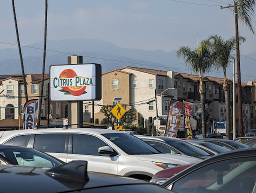 Strandz Unlimited Beauty Supply