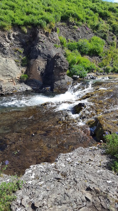 Photos of Foss&aacute;rr&eacute;tt hin yngri