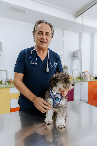 Clínica Veterinaria Gat i Gos