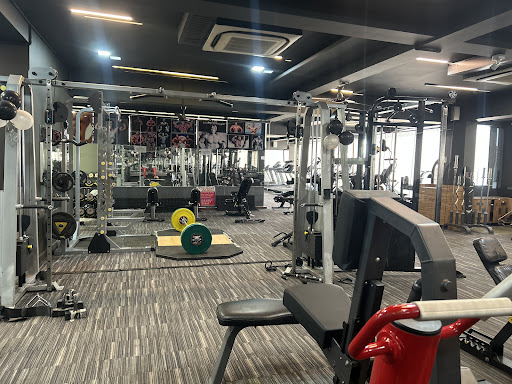 Fit or Fight Unisex Family Gym