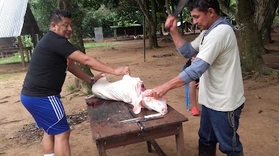 Photos of Finca La Quiripa