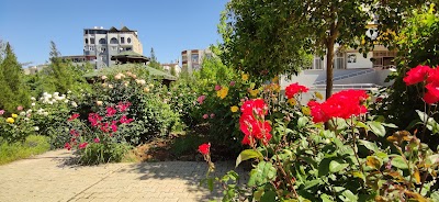 Yusuf Sami Kız Anadolu İmam Hatip Lisesi