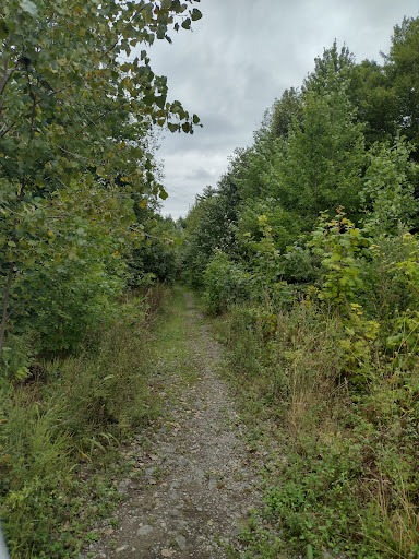 Sentier Schulz - Visual