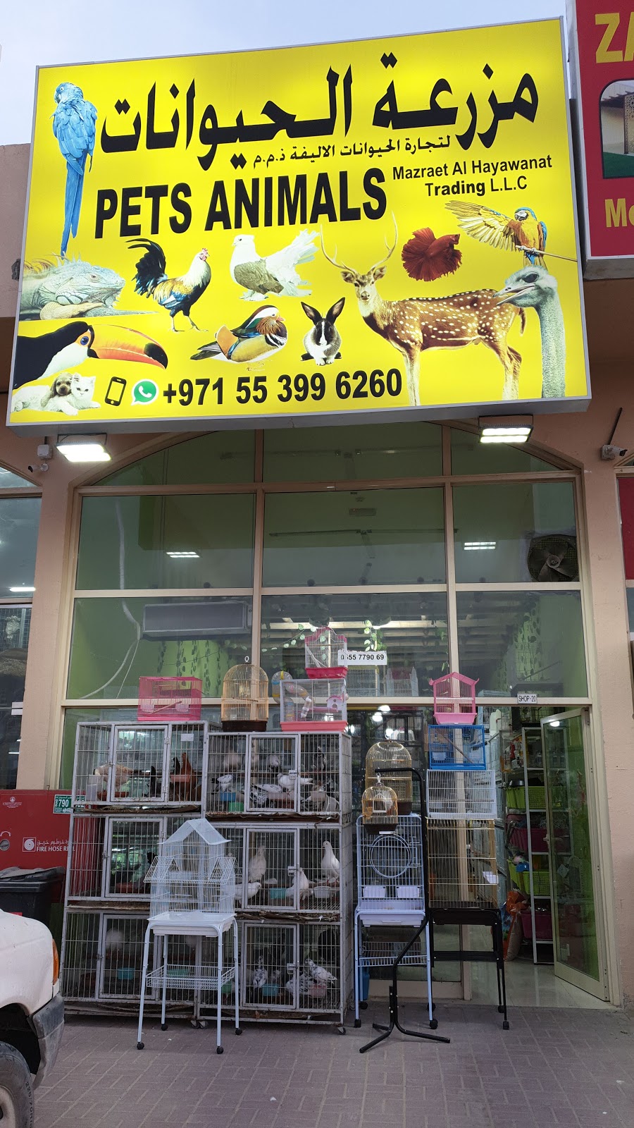 DAHABI BIRDS & ANIMALS FOOD TRADING - صورة 4