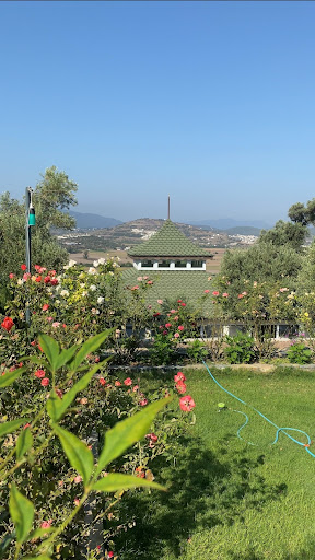 Olive Garden Retreat (Yoga/Meditation Center, Organik Dükkan)