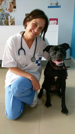 Centro Veterinario Estrella de Mar