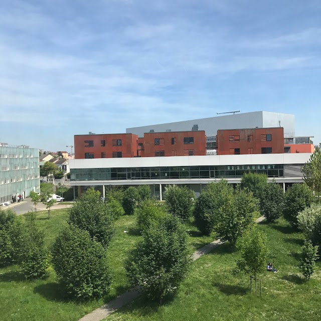 Université Paris 8