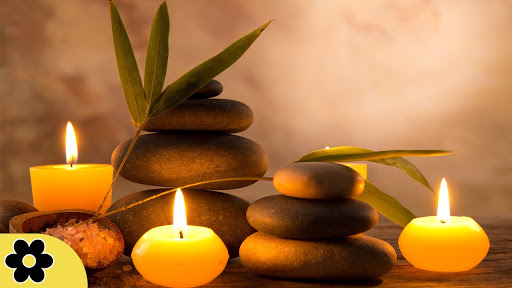 Studio Zen LLC. - Visual