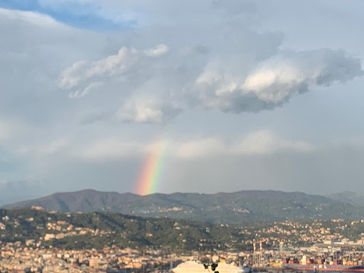 Litoranea - Visual