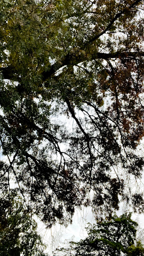 Hentschke Park - Thumbnail