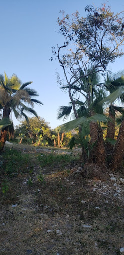 Rancho el Paredon, Puente Seco Tetela de Ocampo - Thumbnail