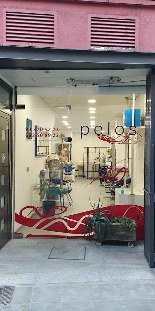 Perruqueria Pelos