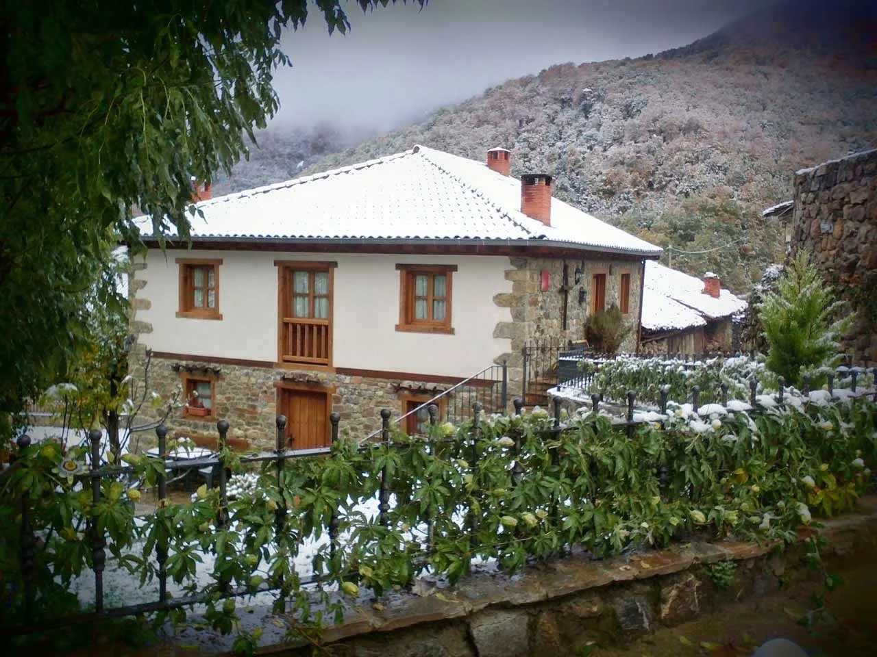 Apartamentos Caloca