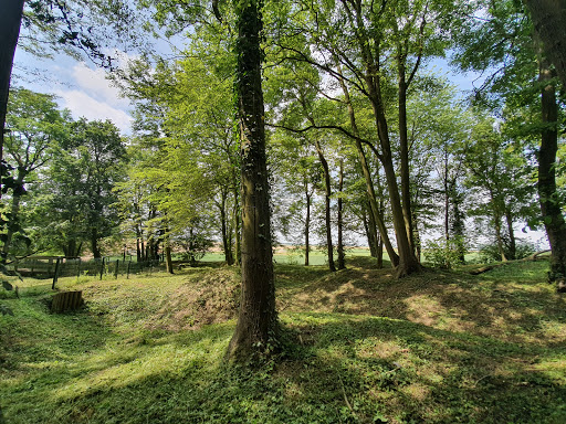 Bois de Wallieux