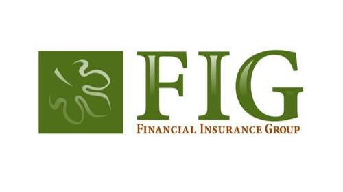 Financial Insurance Group - Thumbnail