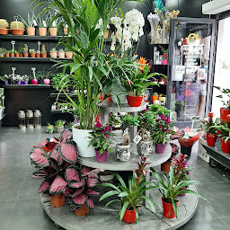 Photo n°5 de Châtillon Fleurs à Châtillon (Fleuriste)