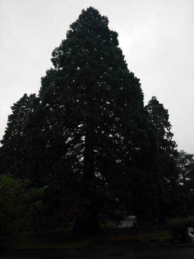 Photos of St George's Cemetery (Town of Geneva)