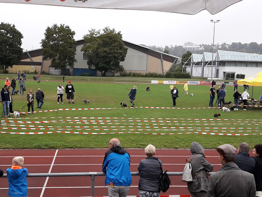 Eisstadion Wernau - Thumbnail