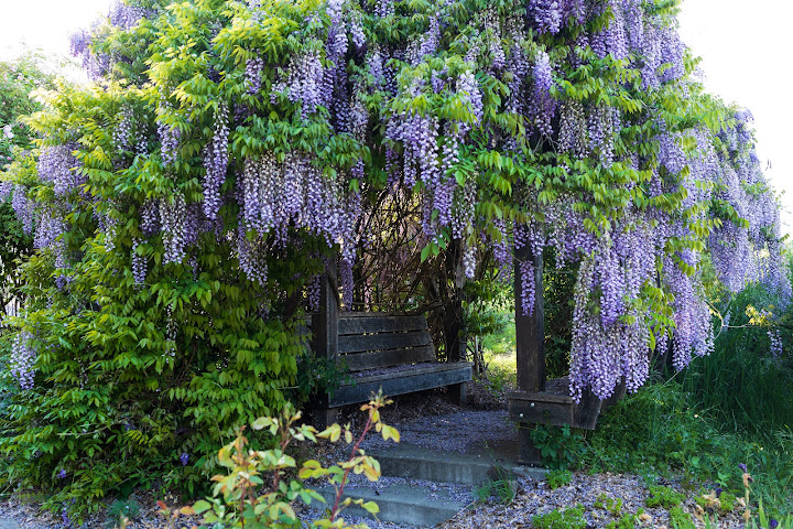 Earthseed Farm by null