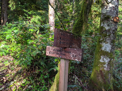 Squak Mountain State Park Natural Area - Thumbnail