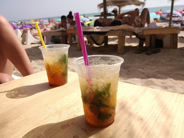Origen Palmar Club