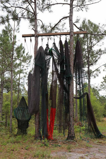 Holton's Net Shop - Thumbnail