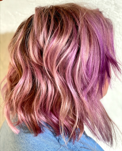 Cactus Wren Salon