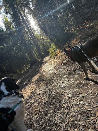 Green belt Trails - Thumbnail