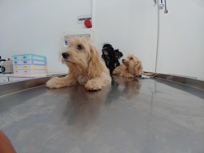 Photos of Hayat Veteriner Kliniği
