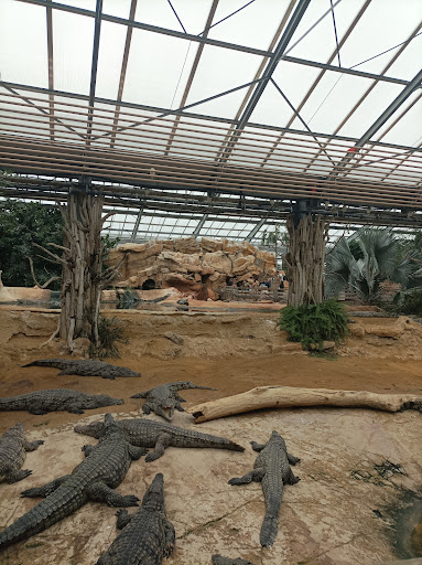 Photo de Foyer d'hébergement les Tilleuls