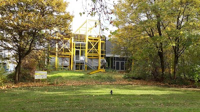 university