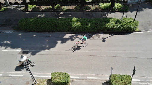 Solobici - Visual