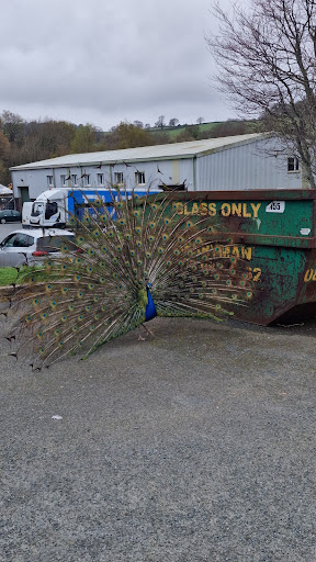 National Windscreens Bangor - Thumbnail