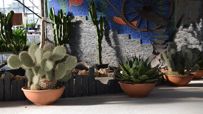 Comentarii opinii despre Pépinière Montpellier sud jardin 34