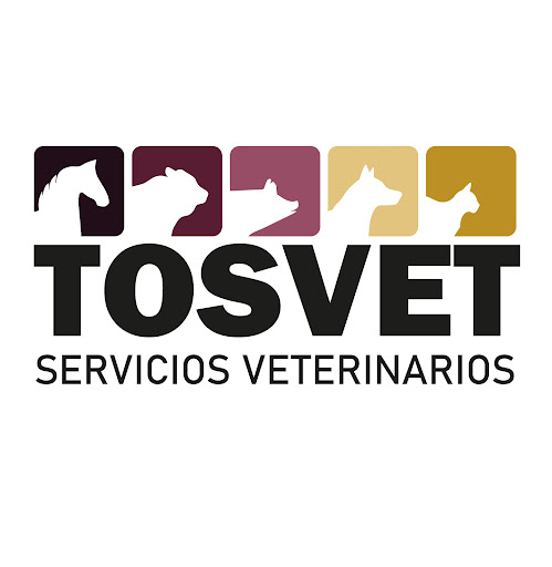 TOSVET servicios veterinarios