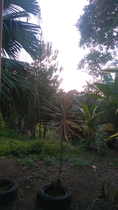 Photos of Restaurant Las Caba&ntilde;itas