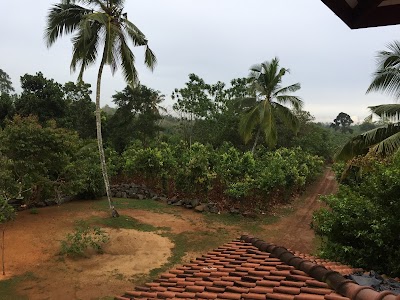 Photos of Cinnamon Heaven Kosgoda
