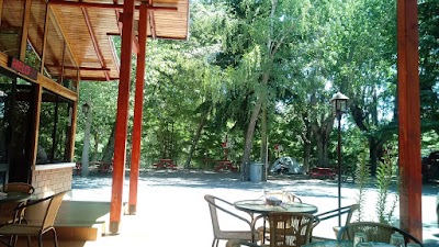 Photos of Salto del Laja Camping