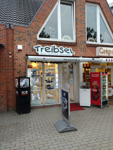 Treibsel